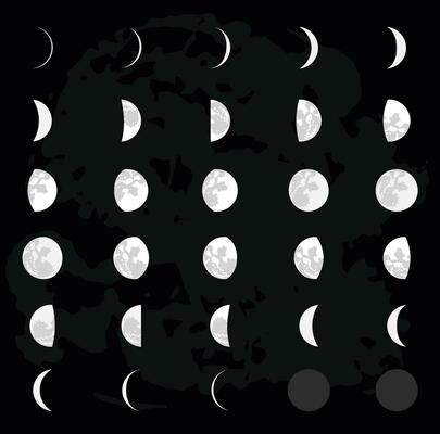 Moon Texture Map Vector Art, Icons, and Graphics for Free Download