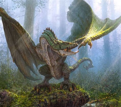 Wyvern | Dragon pictures, Dragon art, Fantasy dragon