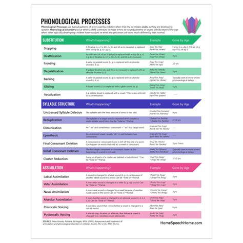 Phonological Processes Are Different From Articulation Disorders