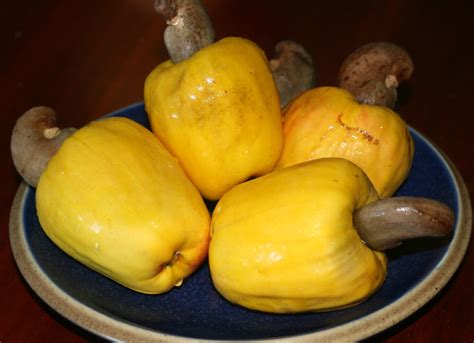 How to Make Cashew Fruit Juice | HubPages