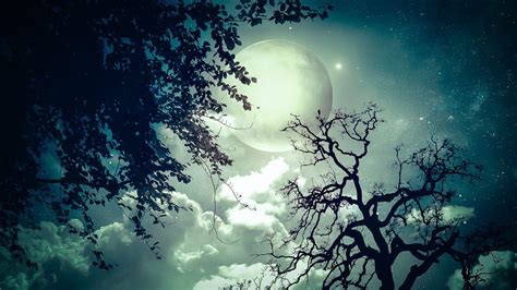 Moon and Tree Wallpapers - Top Free Moon and Tree Backgrounds ...