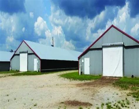 Poultry Shed Manufacturer | Poultry Shed Supplier India