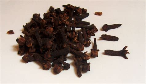 File:Cloves-spice.jpg - Wikipedia