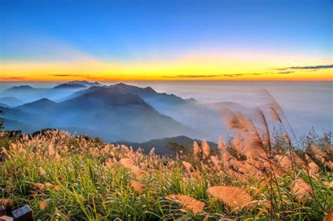 Taiwan Exclusive: Alishan Sunrise Guide to Welcome 2019 - KKday Blog