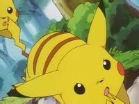 Image Gallery of Pokemon: Episode 39: Pikachu's Goodbye (Forest of ...