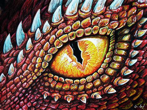 Dragon Eye Drawing Color