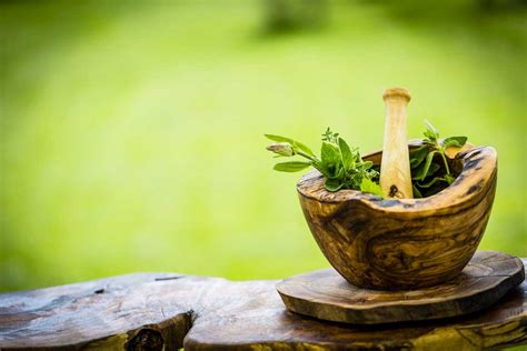 Free Online Herbalism Course