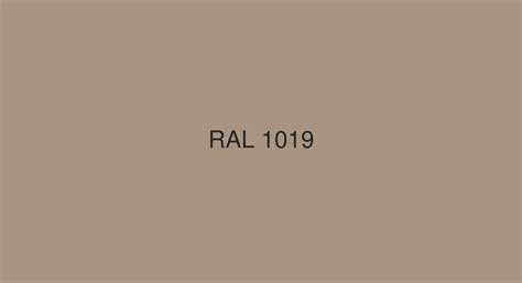 RAL Grey beige [RAL 1019] Color in RAL Classic chart