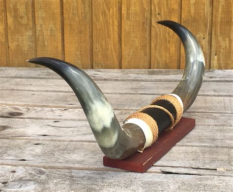 Vintage Bull Horns, Mounted Bull Horns Black Leather Center Accent Rope ...