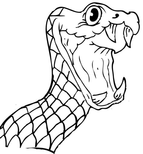 Cobra Snake Head Drawing at GetDrawings | Free download