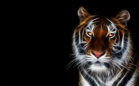 Spirit Animal Wallpapers - Wallpaper Cave