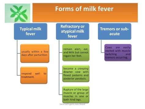 Recent diagnosis and treatment of milk fever in