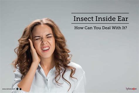 Insect Inside Ear - How Can You Deal With It? - By Dr. Harmeet Singh ...