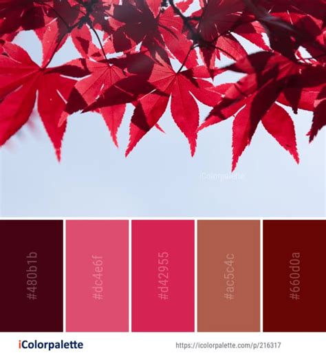 Red Color Palette | OFFEO