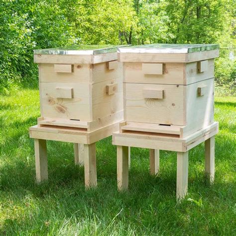 How to Build a Beehive | Building a beehive, Bee hive, Bee hives diy