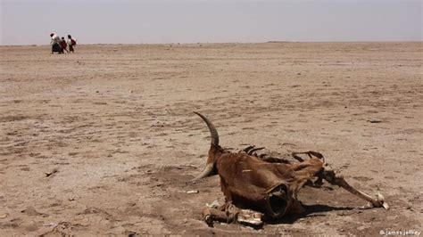 Clinging on against drought in Ethiopia – DW – 04/14/2016