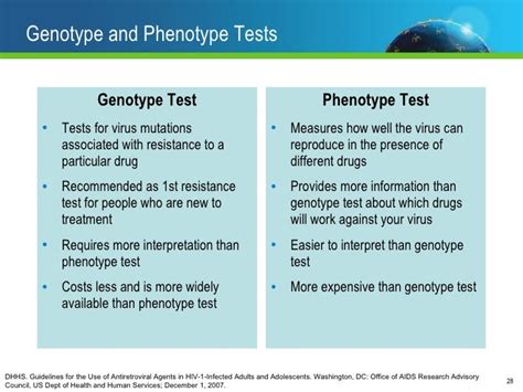 Understanding Hiv Diagnostics And Lab Tests