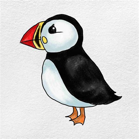 How to Draw A Puffin - HelloArtsy