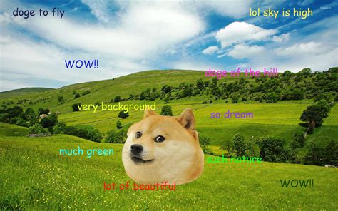 Doge [7] wallpaper - Meme wallpapers - #27300