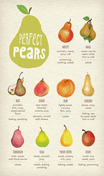 The different types of pears and the best uses for them! | Useful Tips ...