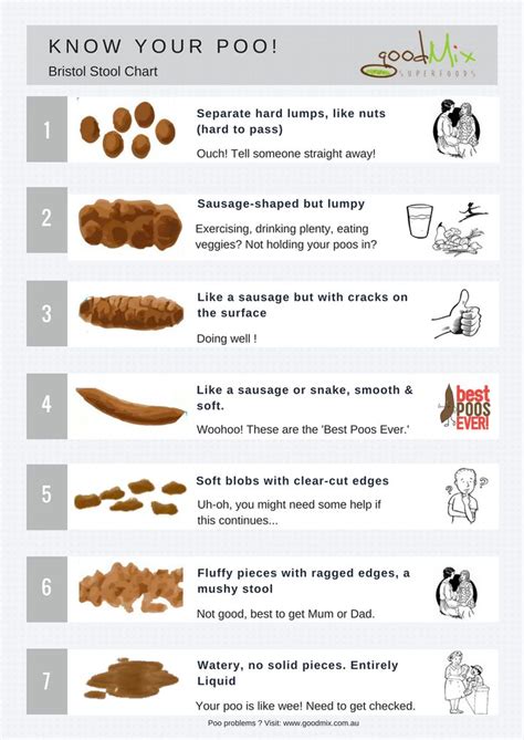 what is the bristol stool chart - bristol stool color chart stools item ...