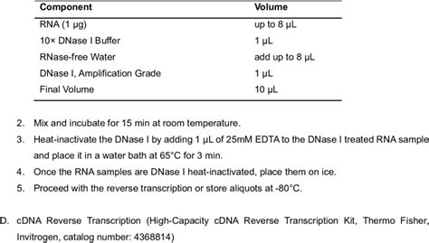 Reaction mix for DNase I treatment of eluted RNA | Download Scientific ...