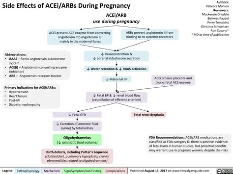 Side Effects of ACEi/ARBs During Pregnancy | Calgary Guide