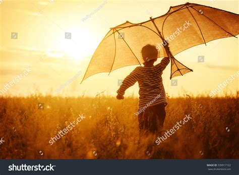 Boy Flying Kite Field Sunset Stock Photo 339917102 | Shutterstock