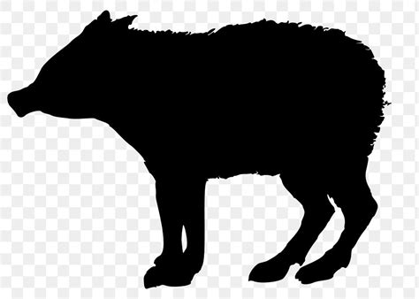 Silhouette wild pig png illustration, | Free PNG - rawpixel