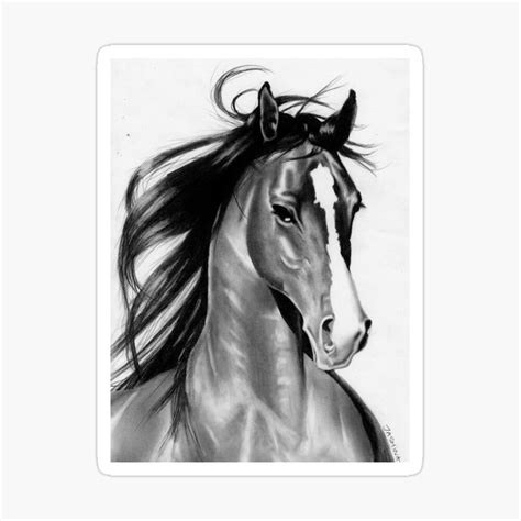 Update more than 139 beautiful horse drawing best - vietkidsiq.edu.vn