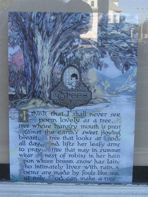 The Poem "Trees" by Joyce Kilmer | Poetry projects, Poems, Joyce kilmer