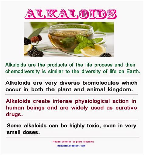 bonvictor.blogspot.com: Health benefits of plant alkaloids