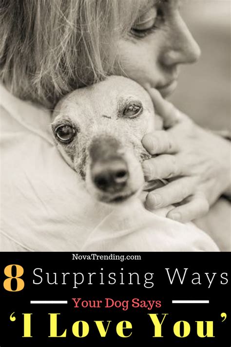 8 Surprising And Secret Ways Your Dog Says ‘I Love You’ | Say i love ...