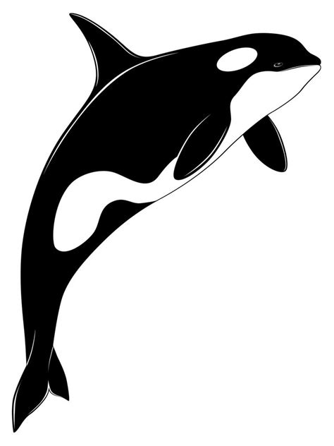 Free Whale Silhouette, Download Free Whale Silhouette png images, Free ...