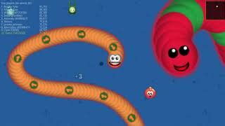 WORMS ZONE free online game on Miniplay.com