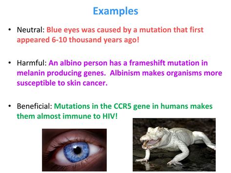 What Is an Example of a Neutral Mutation