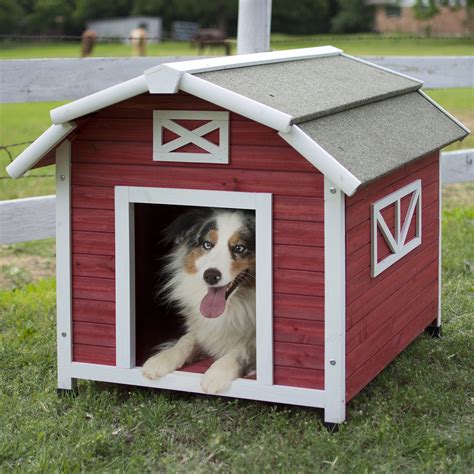 Precision Pet Old Barn Dog House & Reviews | Birch Lane