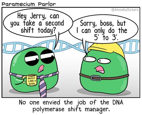 Paramecium Parlor Comics - SCIENCE WITH THE AMOEBA SISTERS