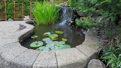 The benefits of a backyard pond with waterfall - Home Hearted