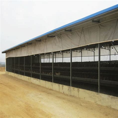 Design Poultry Farm Shed Poultry Farming In Africa For 5000//10000 ...