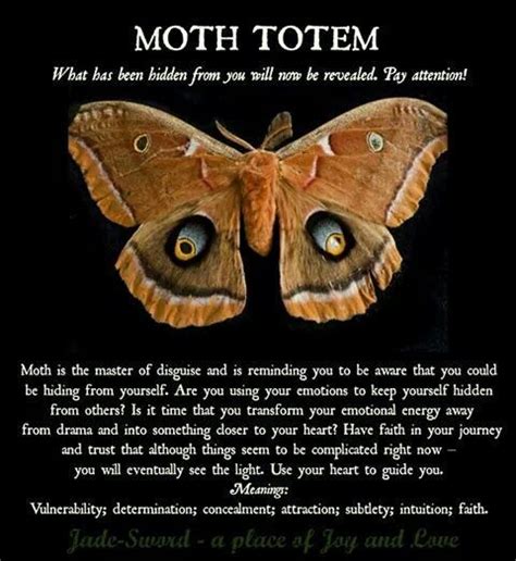 Moth totem | Animal spirit guides, Animal totem spirit guides, Animal ...