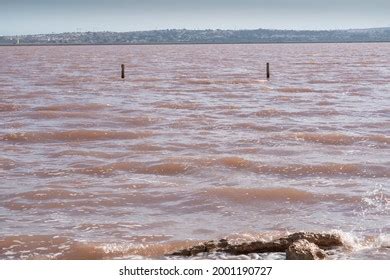 Torrevieja Pink Lake Natural Park De Stock Photo (Edit Now) 2001190727