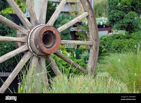 Old wooden wagon wheel in green garden setting Stock Photo - Alamy