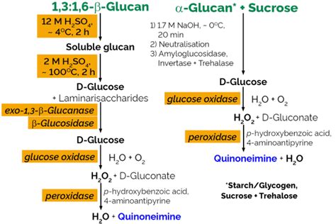 Beta-Glucan Assay Kit Yeast - Measurement of beta glucan | Megazyme