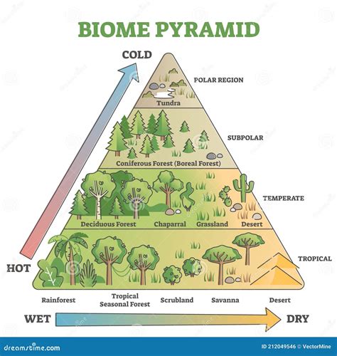 Biome Cartoons, Illustrations & Vector Stock Images - 2148 Pictures to ...