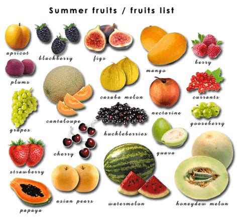 Seasonal Fruits | Winter and Summer Fruits | Spring Fresh Fruit