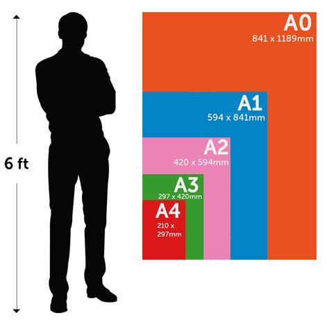 Poster Paper Size Guide | UK POS Paper Sizes Comparison