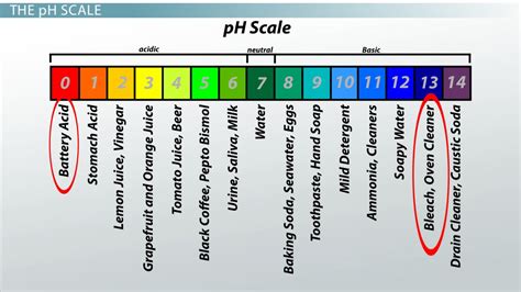 Acidic, Basic & Neutral Solutions | Overview, pH Scale & Uses - Lesson ...