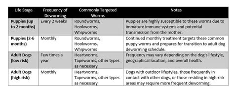 Dog Deworming Schedule Chart: Expert Tips And Insights - Calypso Tree