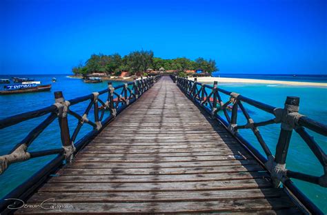 Prison Island Stone Town Zanzibar, Tanzania